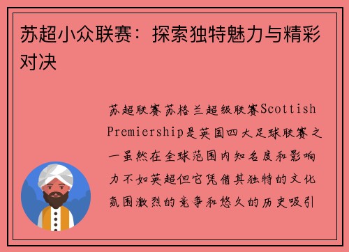 苏超小众联赛：探索独特魅力与精彩对决
