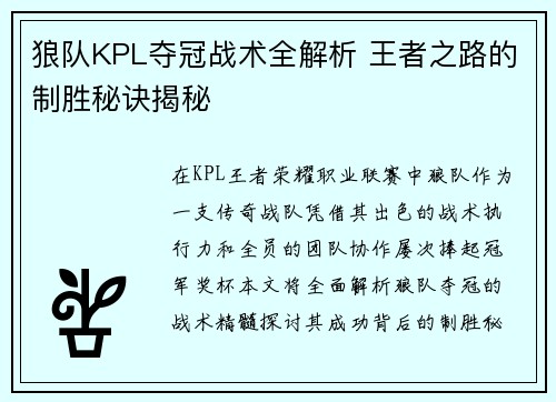 狼队KPL夺冠战术全解析 王者之路的制胜秘诀揭秘